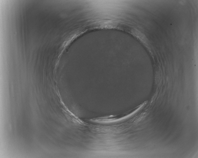 X0000062630673200512281556