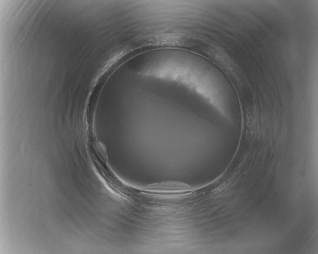 X0000062630674200512281556