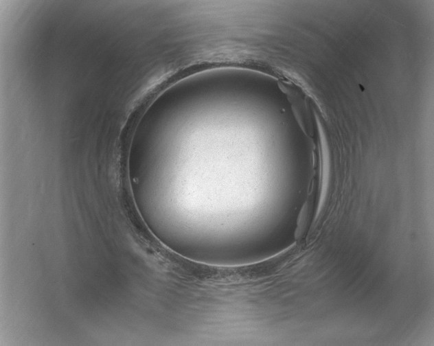 X0000062630675200512281556