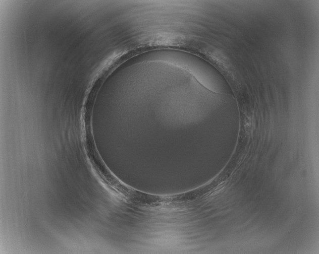 X0000062630678200512281556