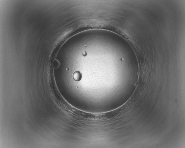 X0000062630679200512281556