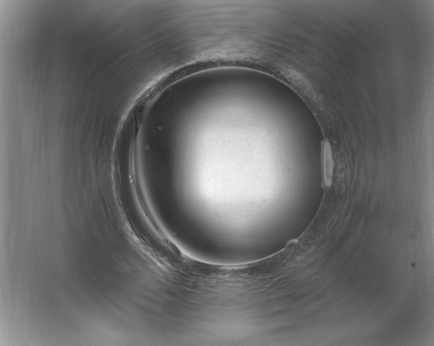 X0000062630680200512281556