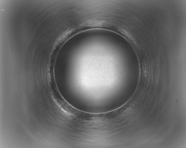 X0000062630682200512281556