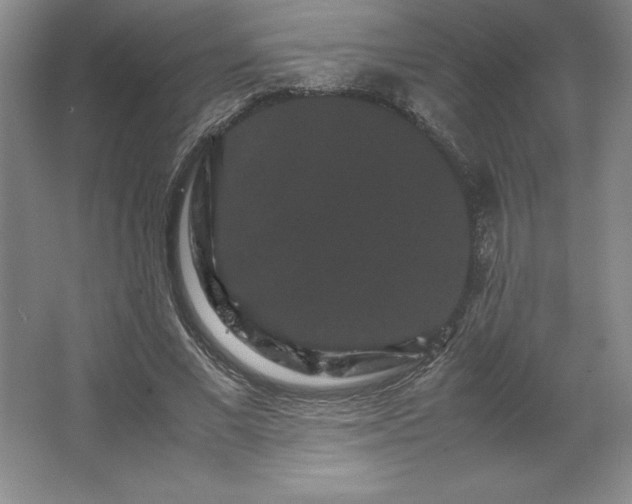 X0000062630685200512281556