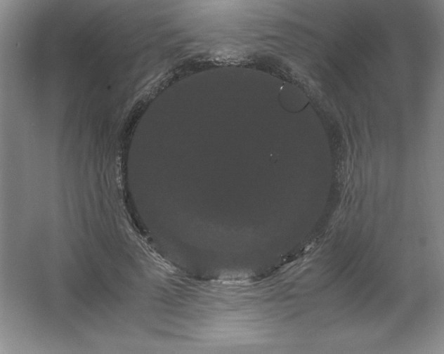 X0000062630689200512281556