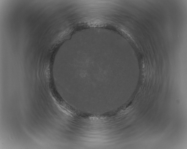 X0000062630690200512281556