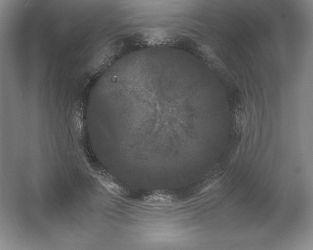 X0000062630691200512281556