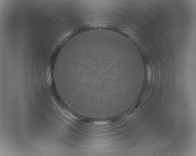 X0000062630692200512281556