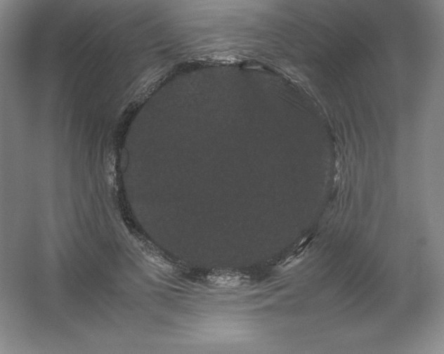 X0000062630693200512281556