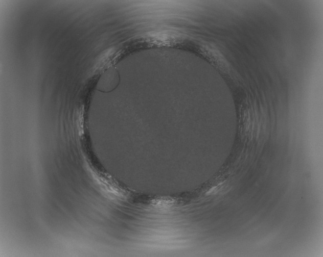 X0000062630694200512281556