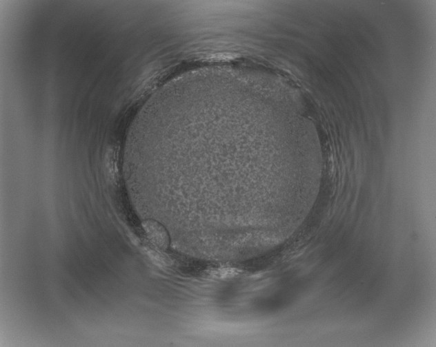 X0000062630695200512281556