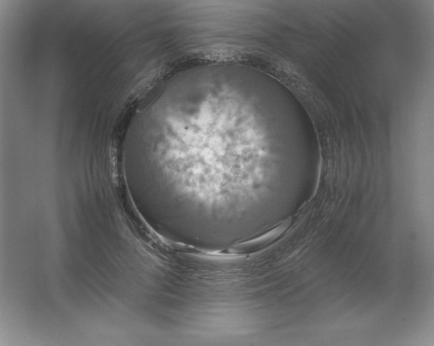 X0000062630696200512281556