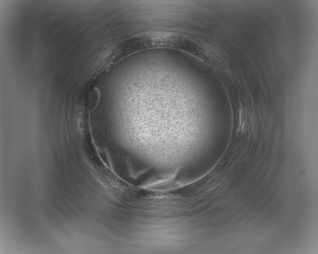 X0000062630698200512281555