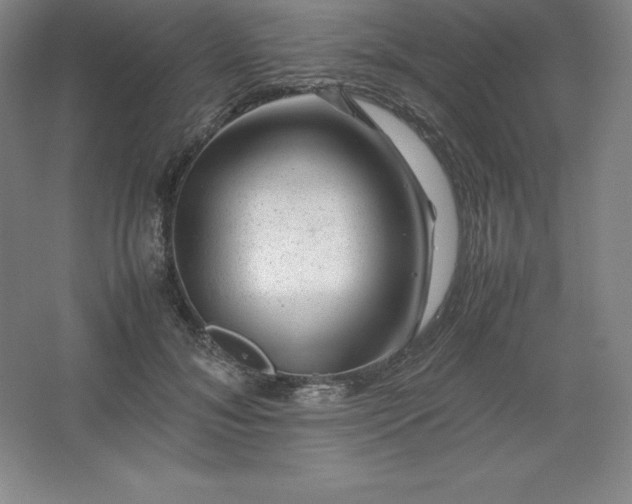 X0000062630700200512281555