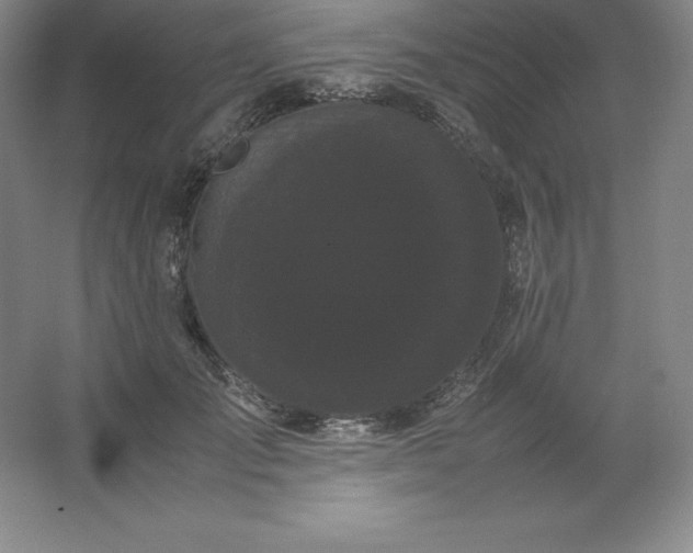 X0000062630701200512281555