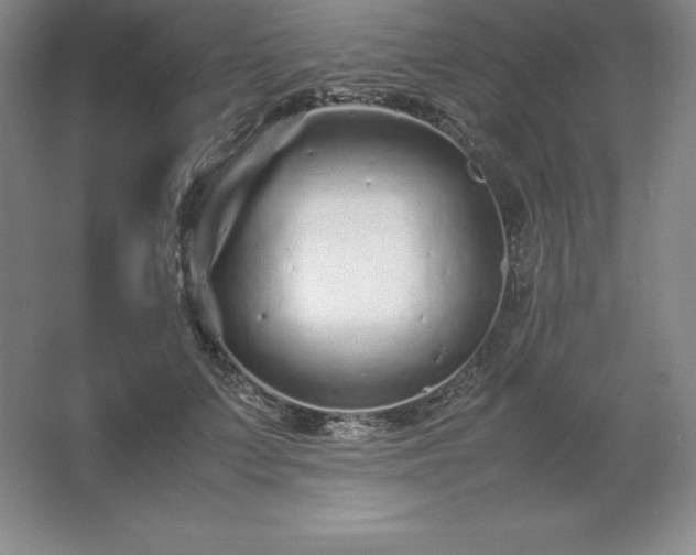 X0000062630703200512281555