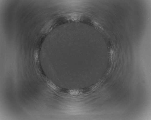 X0000062630709200512281555