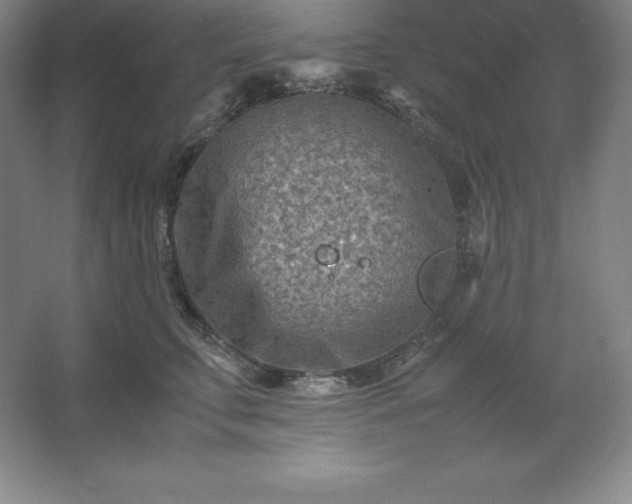 X0000062630711200512281555