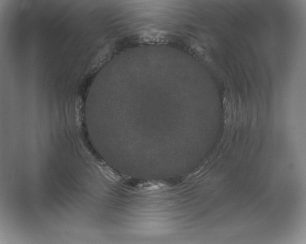 X0000062630712200512281555