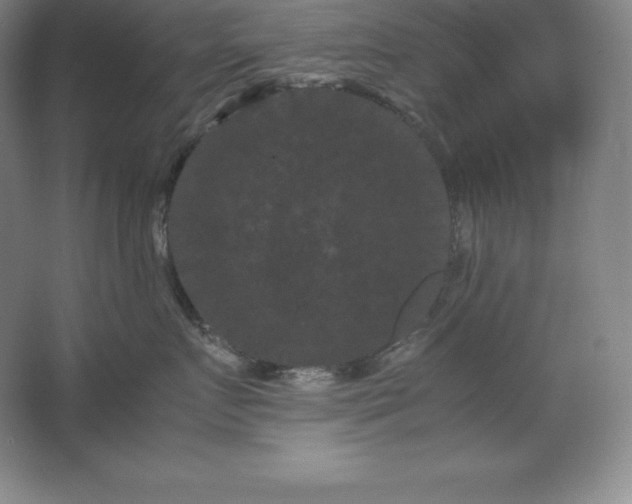 X0000062630719200512281555