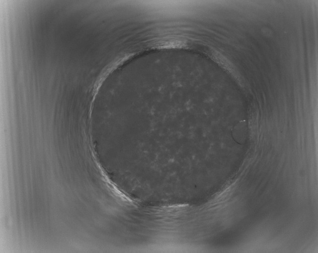 X0000062630721200512281554