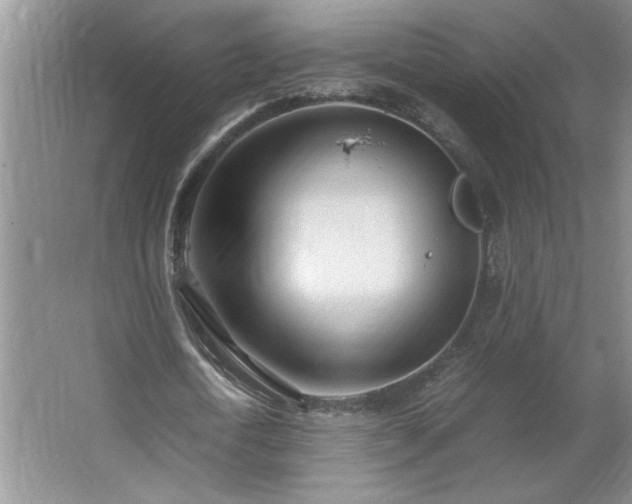 X0000062630722200512281554