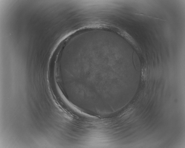 X0000062630724200512281554