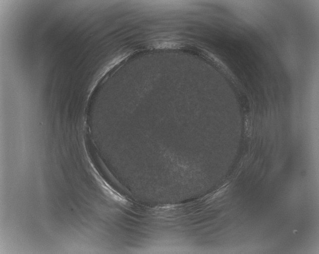 X0000062630725200512281554