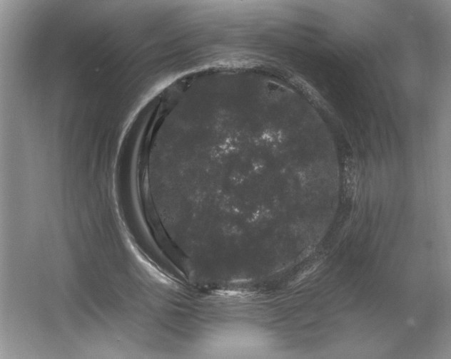 X0000062630726200512281554