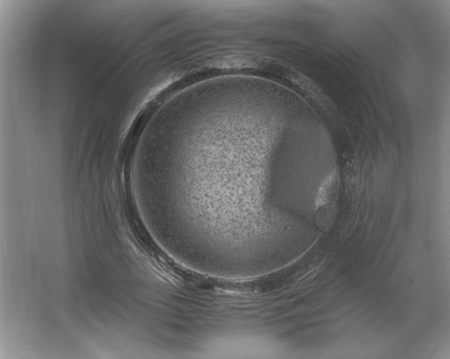 X0000062630727200512281554