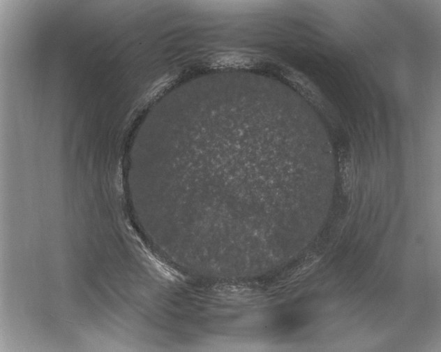 X0000062630729200512281554