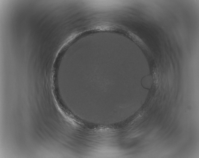 X0000062630730200512281554