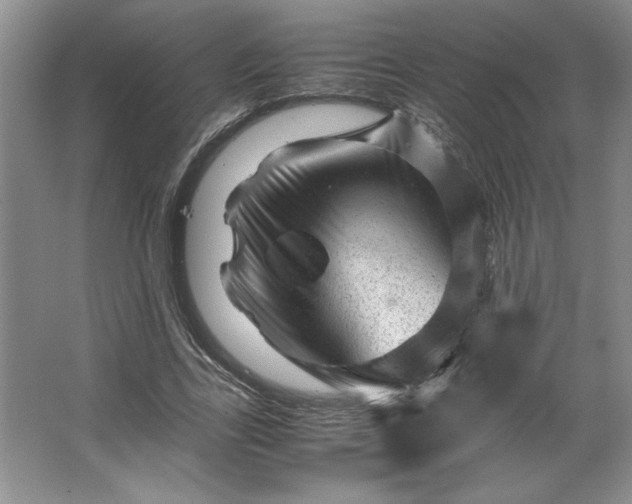 X0000062630731200512281554