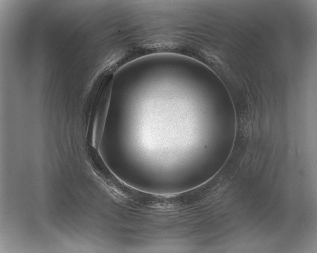 X0000062630735200512281555