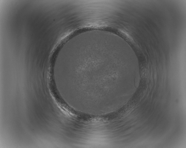 X0000062630736200512281555