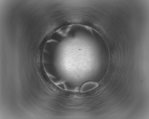 X0000062630739200512281555