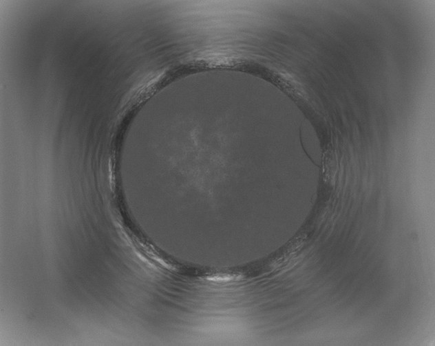 X0000062630740200512281555