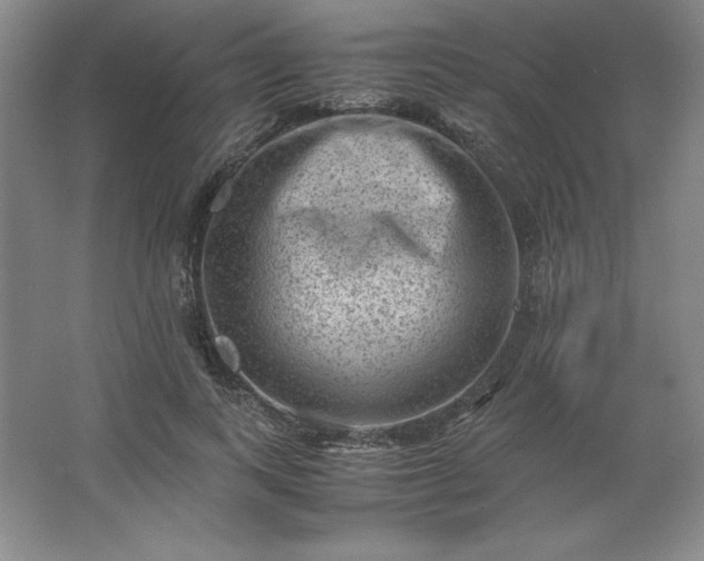 X0000062630743200512281555