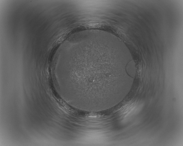 X0000062630746200512281555