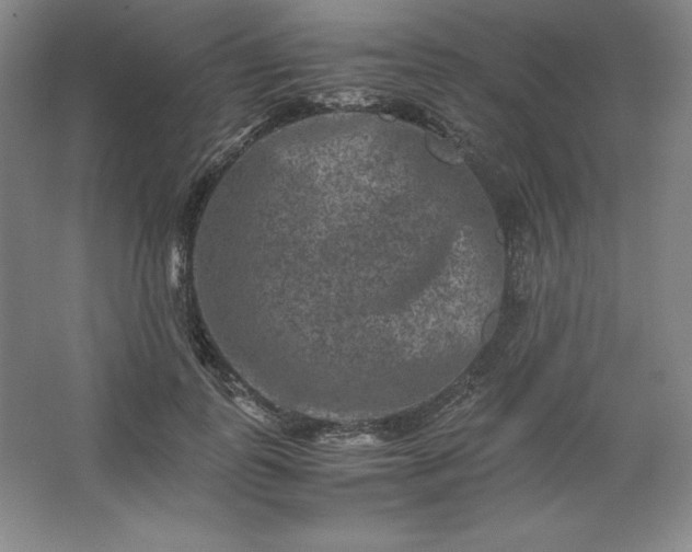 X0000062630747200512281555