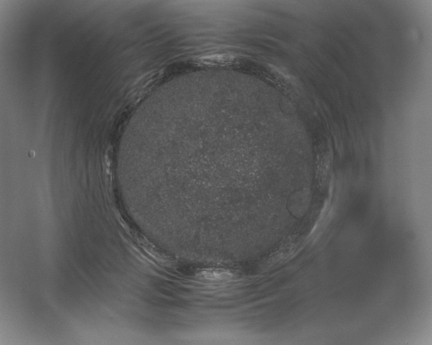 X0000062630749200512281555