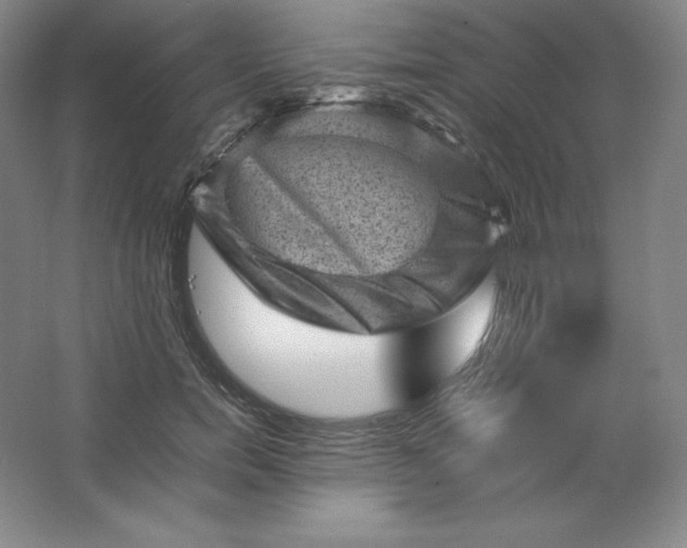 X0000062630750200512281555