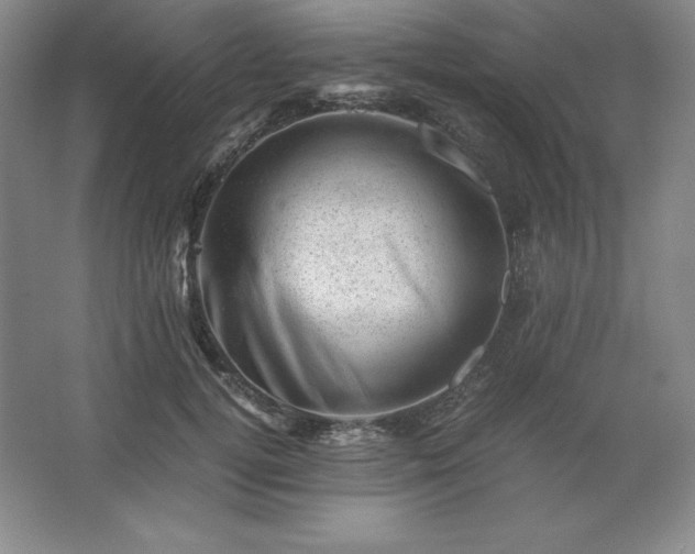 X0000062630752200512281555