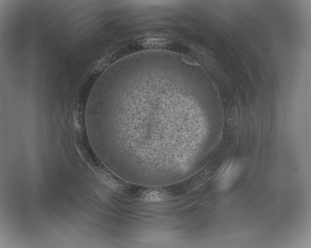 X0000062630755200512281555