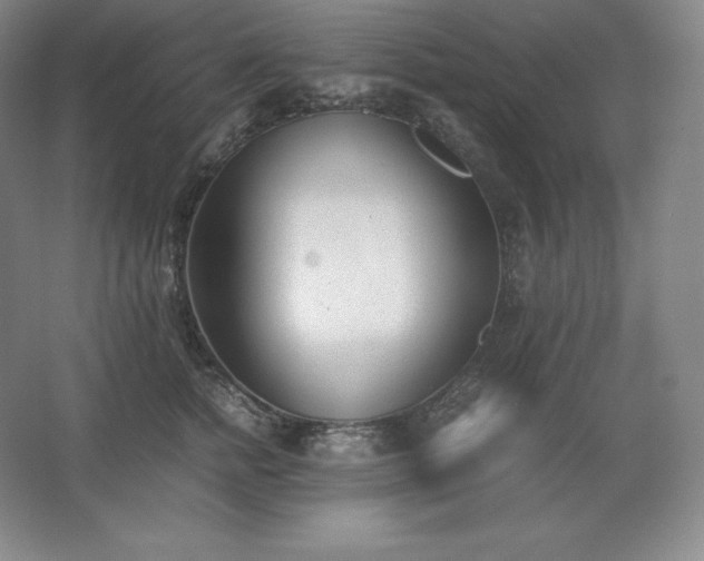 X0000062630758200512281555