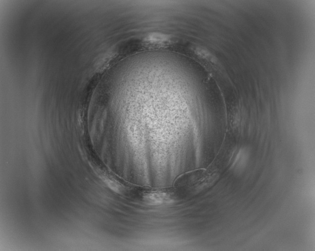 X0000062630759200512281555