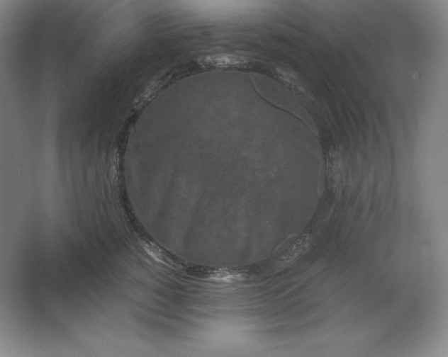 X0000062630760200512281555