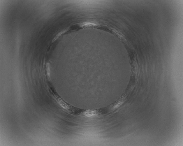 X0000062630762200512281555