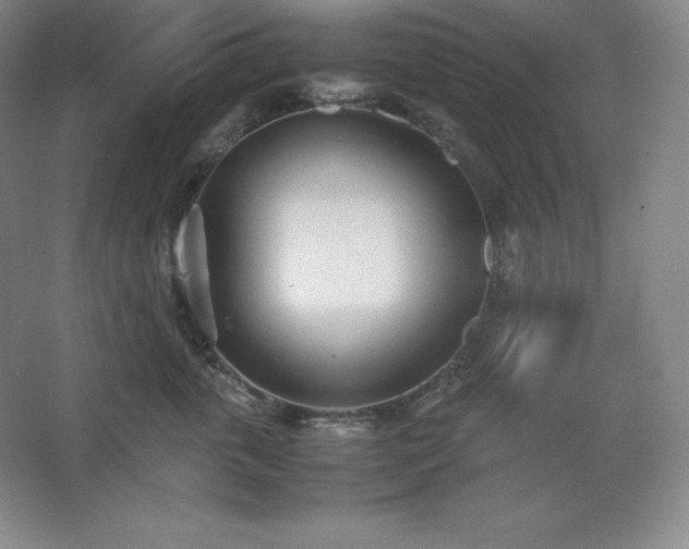 X0000062630763200512281555