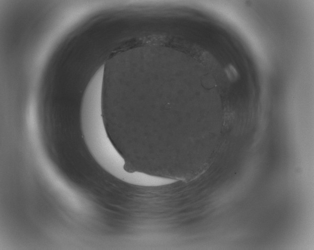 X0000062630765200512281555